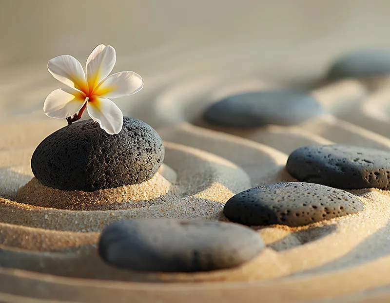 Ce este aromaterapia?